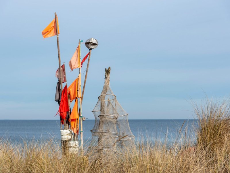 Ostsee Nordsee Deutsche Allianz Meeresforschung Greenpeace Bund Fischfang Netz Verbot BUND