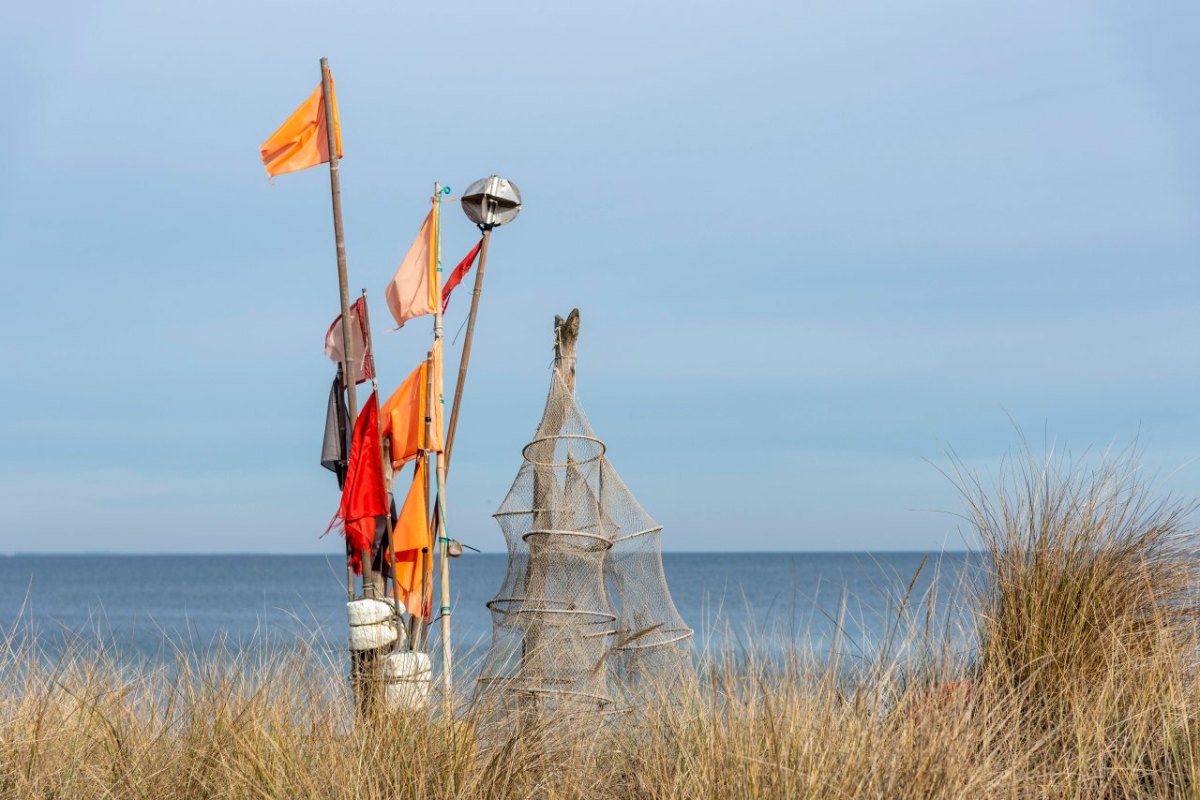 Ostsee Nordsee Deutsche Allianz Meeresforschung Greenpeace Bund Fischfang Netz Verbot BUND