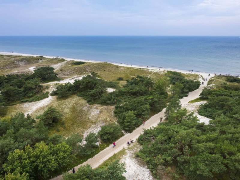 Ostsee Prerow Masken.jpg