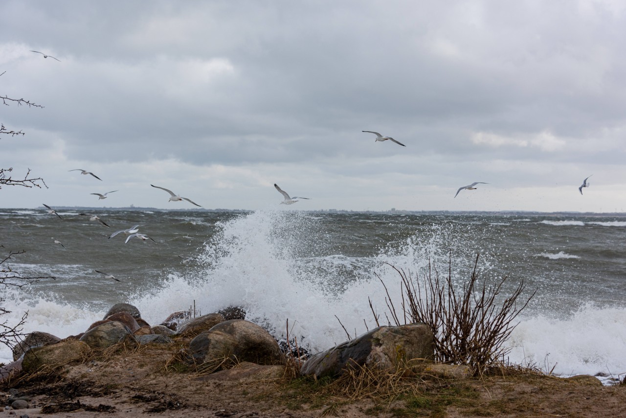 Die Natur an der Ostsee ist mächtig (Symbolbild).