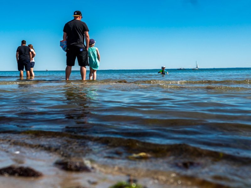 Ostsee Urlaub Usedom Feuerqualle Strömung Nordsee