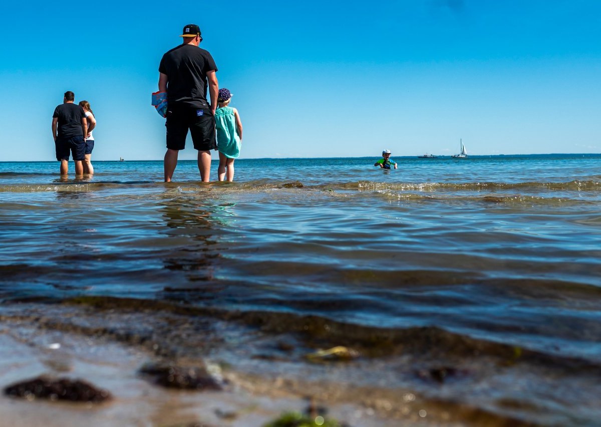 Ostsee Urlaub Usedom Feuerqualle Strömung Nordsee