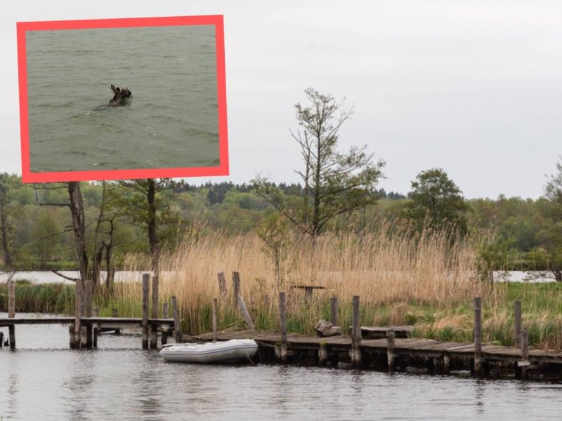 Ostsee Wasserpolizei.jpg