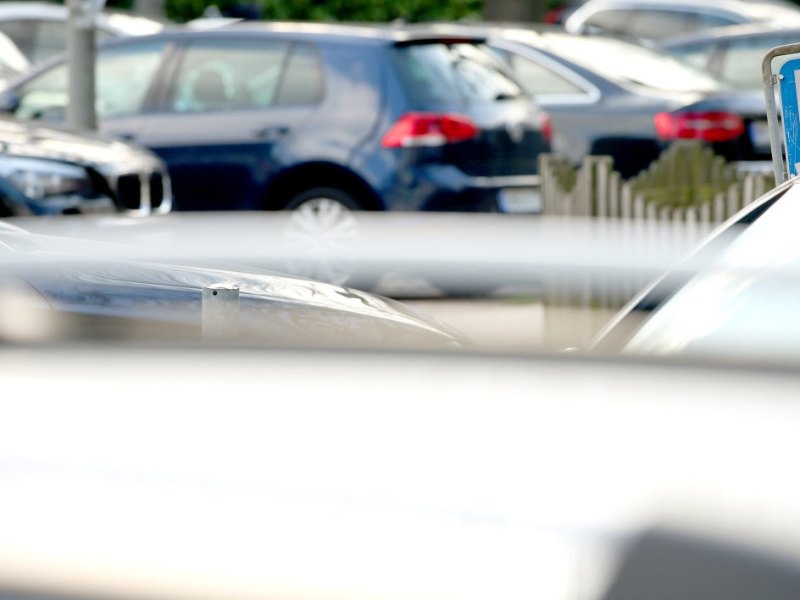 Parken in Hamburg.jpg