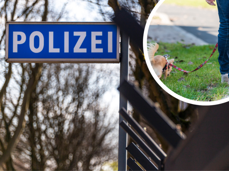 Polizei Hund.png