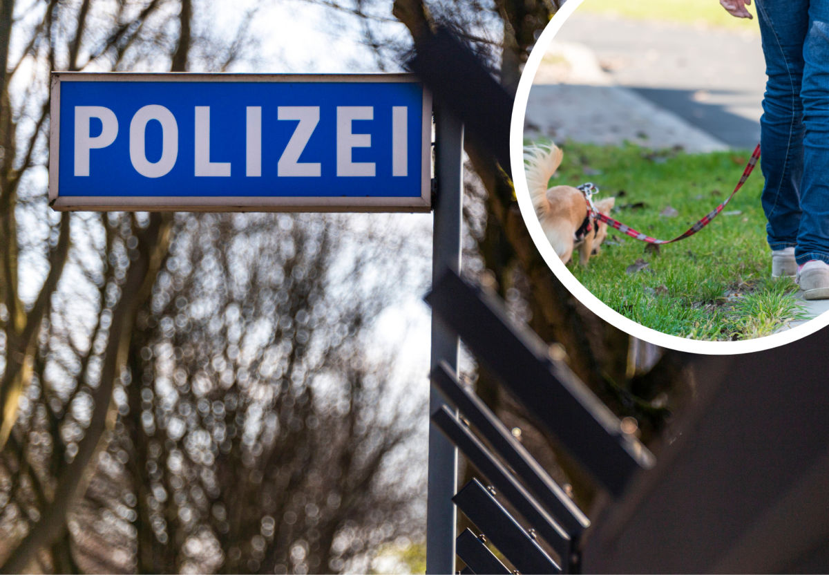 Polizei Hund.png