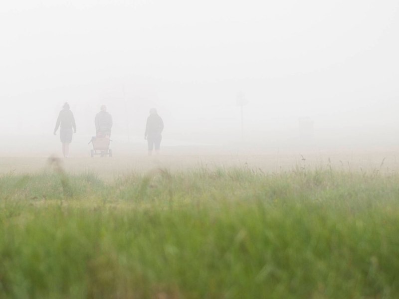 Rostock Polizei Feuerwehr Wald Einsatz Familie Verirrt Spaziergang Nebel
