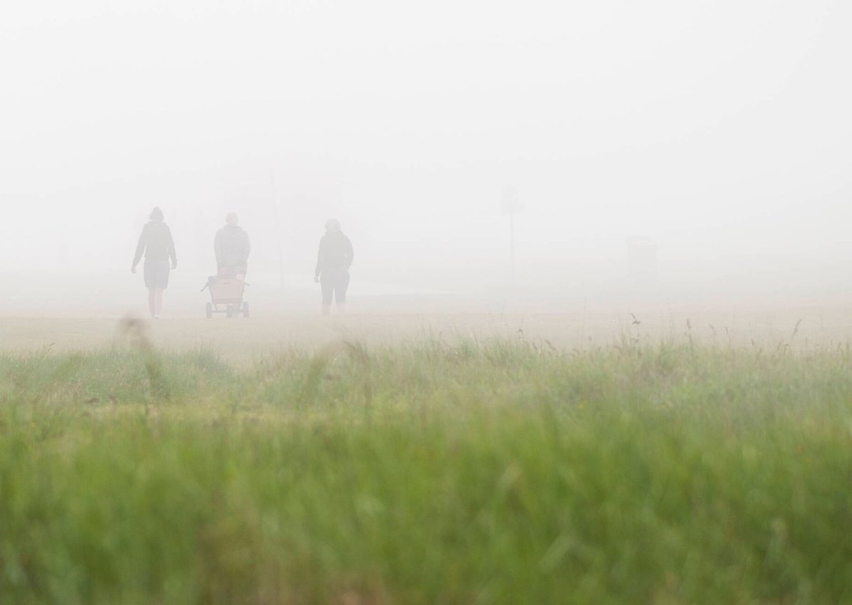 Rostock Polizei Feuerwehr Wald Einsatz Familie Verirrt Spaziergang Nebel