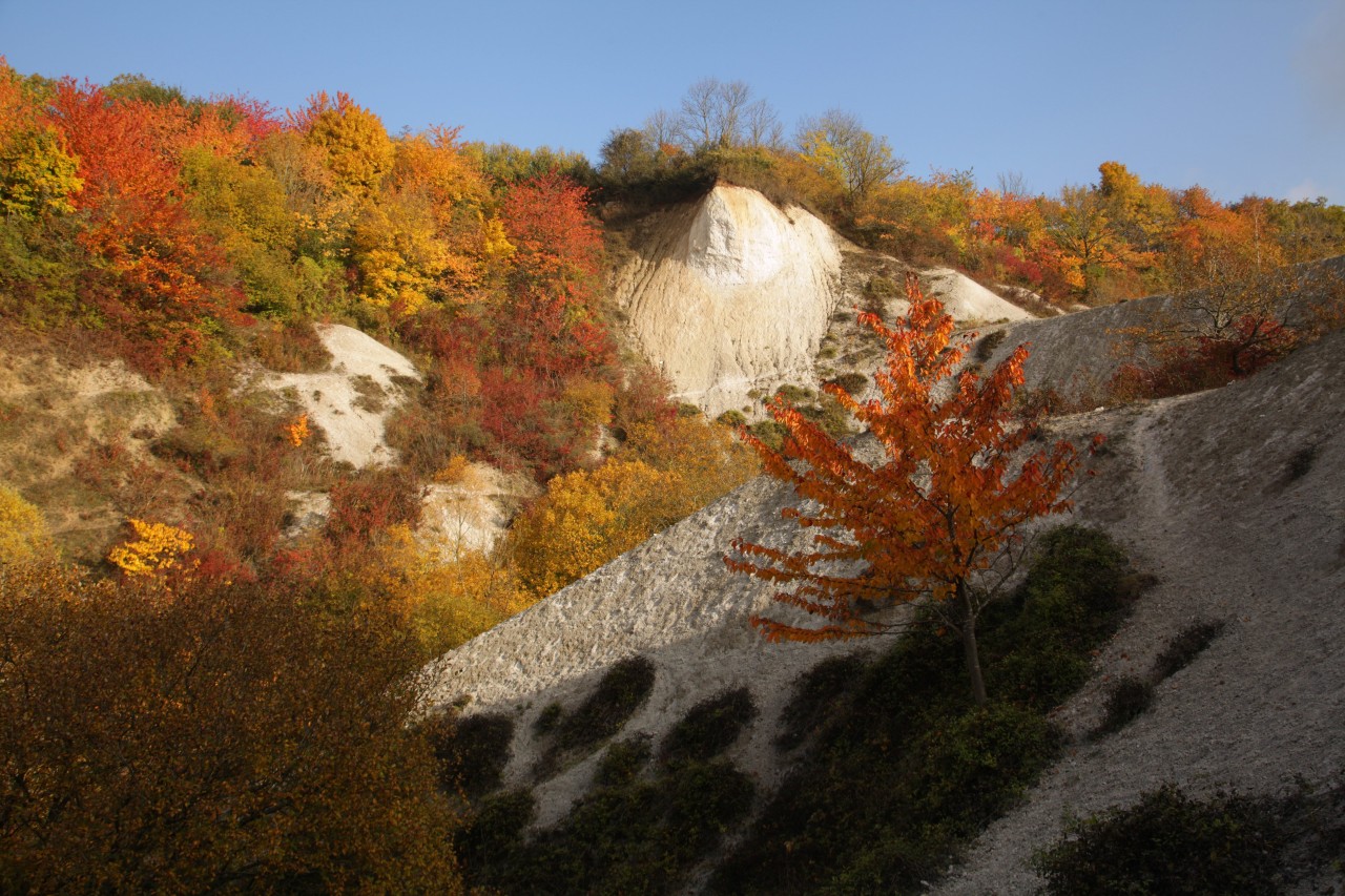 Kreidefelsen in Sagard auf Rügen