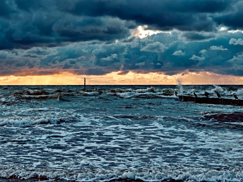 Rügen.jpg