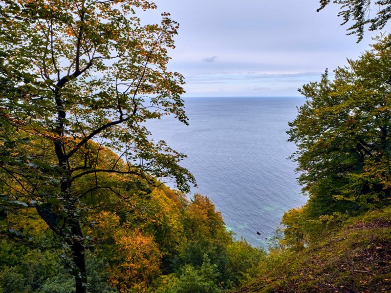 Rügen.jpg