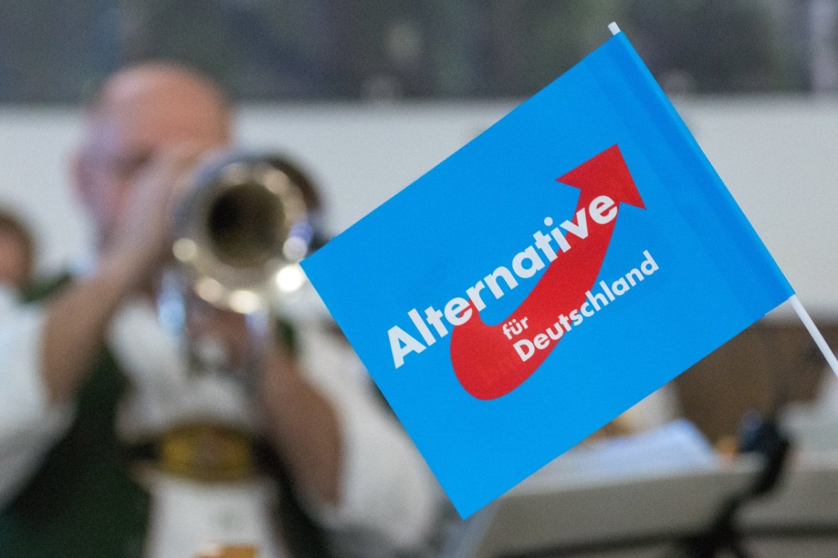 Rügen AfD.jpg