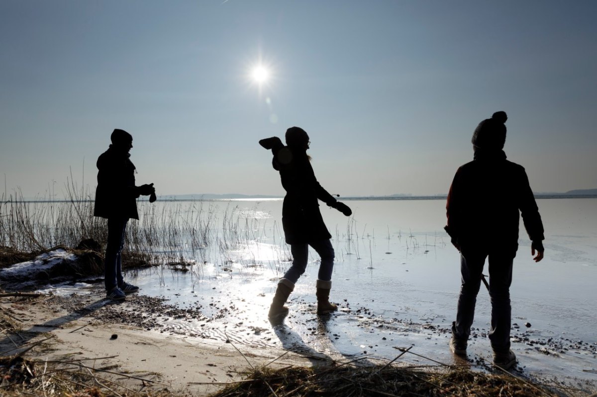 Rügen Jasmunder Bodden.jpg