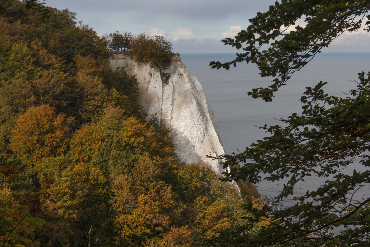 Der Königsstuhl auf Rügen ist Wahrzeichen und ein beliebtes Ausflugsziel der Insel.