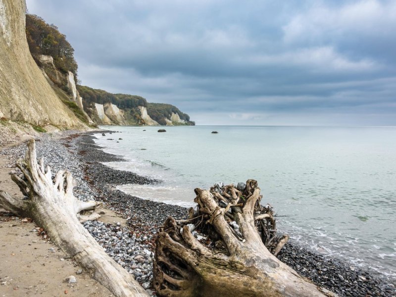 Rügen Kreidefelsen.jpg