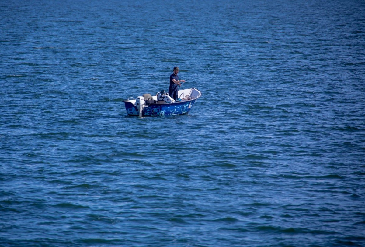 Rügen Küste Reise Glowe Ostsee Lachs NDR Angeln Fischer