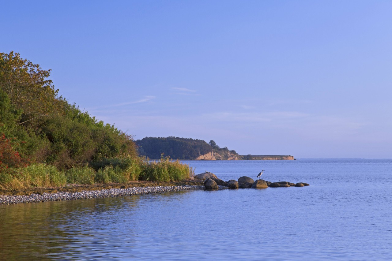 Gobbin auf Rügen.