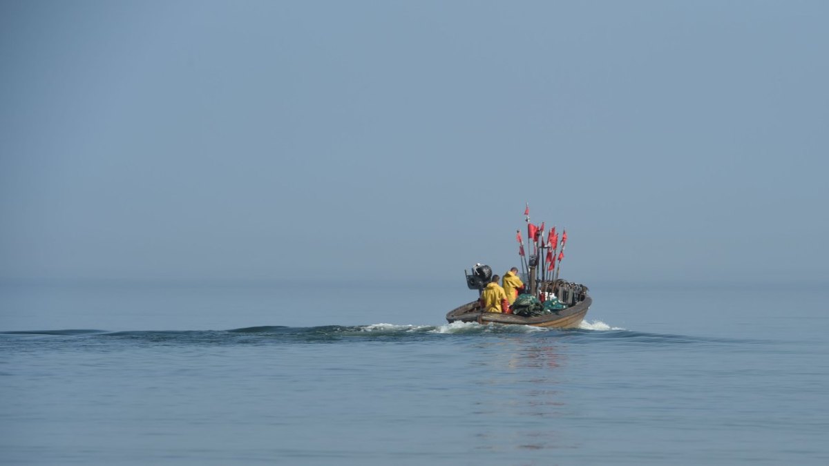 Rügen Ostsee NDR Fang Fisch Fischen Fischer Kapitän Hering Dorsch Schiffe