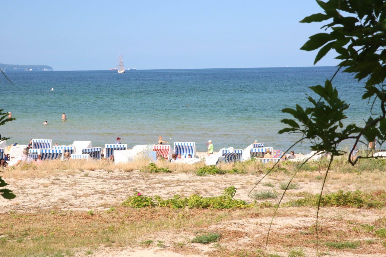 Auf der Ostsee vor Rügen hat eine Frau in ihrem Urlaub eine ungewöhnliche Entdeckung gemacht (Symbolbild).