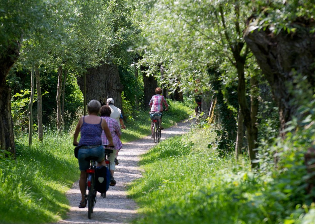 Rügen_Radfahrer.jpg