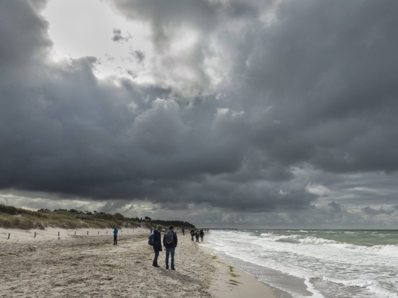 Rügen Spaziergänger Strand Regen.jpg
