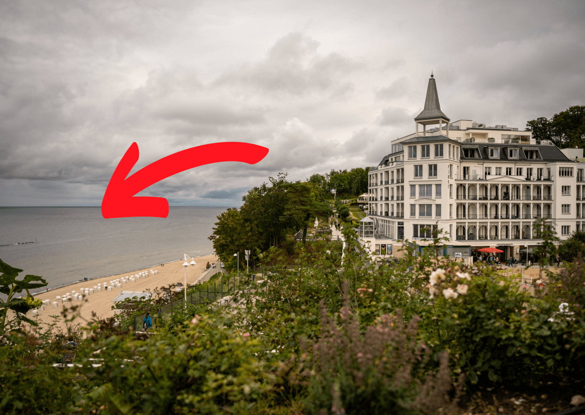 Rügen ostsee Urlaub Strand Fisch Insel Spaziergang Mecklenburg-Vorpommern Tobiasfisch Sandaal