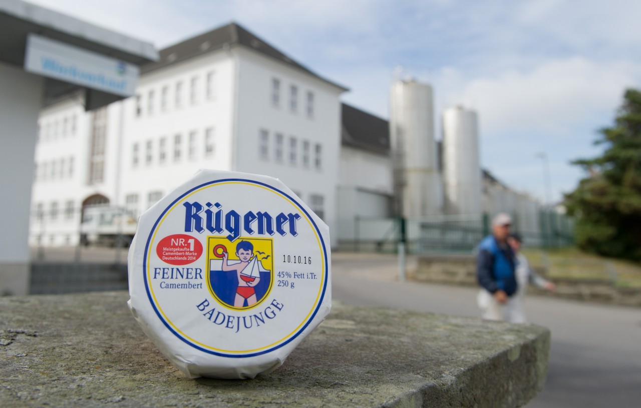 Ein Camembert „Rügener Badejunge“ steht vor der Inselkäserei in Bergen auf der Insel Rügen (Archivfoto).