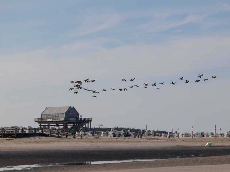 Sankt Peter-Ording.jpg