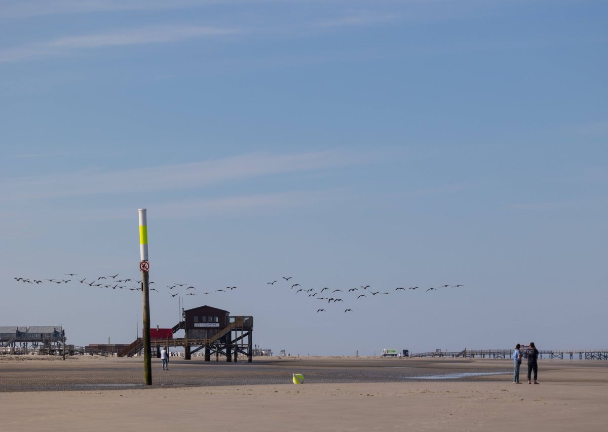 Sankt Peter-Ording Nordsee.jpg