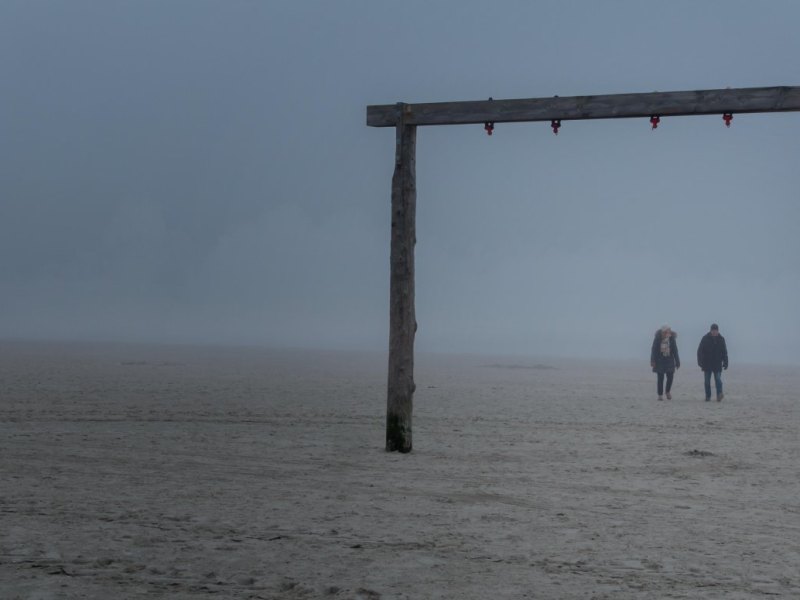 Sankt Peter-Ording (SPO) Watt Beobachtung gruselig Wolf Hund Pfotenabruck Sand Wetter Regen Wolken