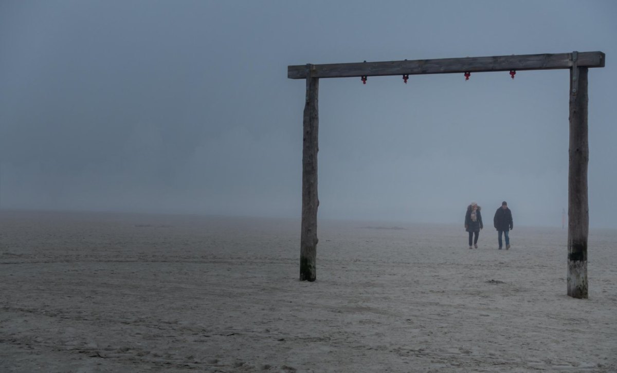 Sankt Peter-Ording (SPO) Watt Beobachtung gruselig Wolf Hund Pfotenabruck Sand Wetter Regen Wolken