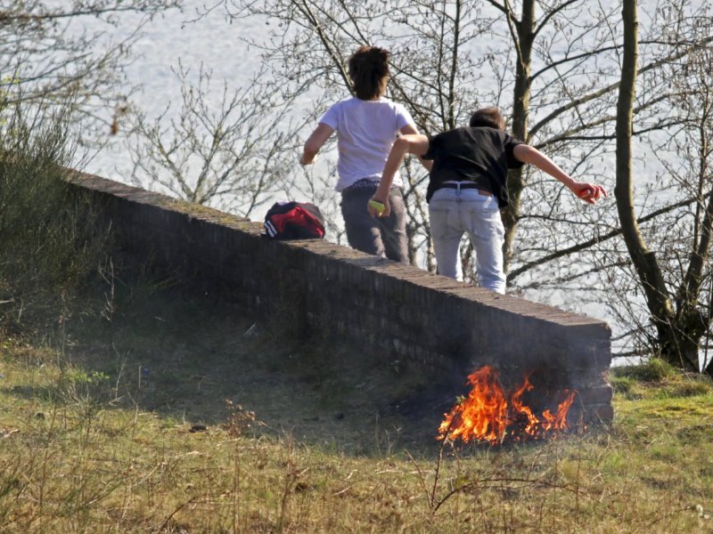 Schleswig-Holstein-Eier.jpg