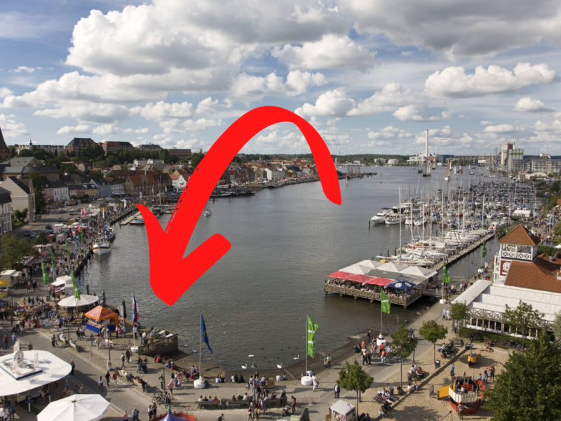 Schleswig-Holstein Flensburg Ostsee Industriehafen Algen Fische Fischesterben