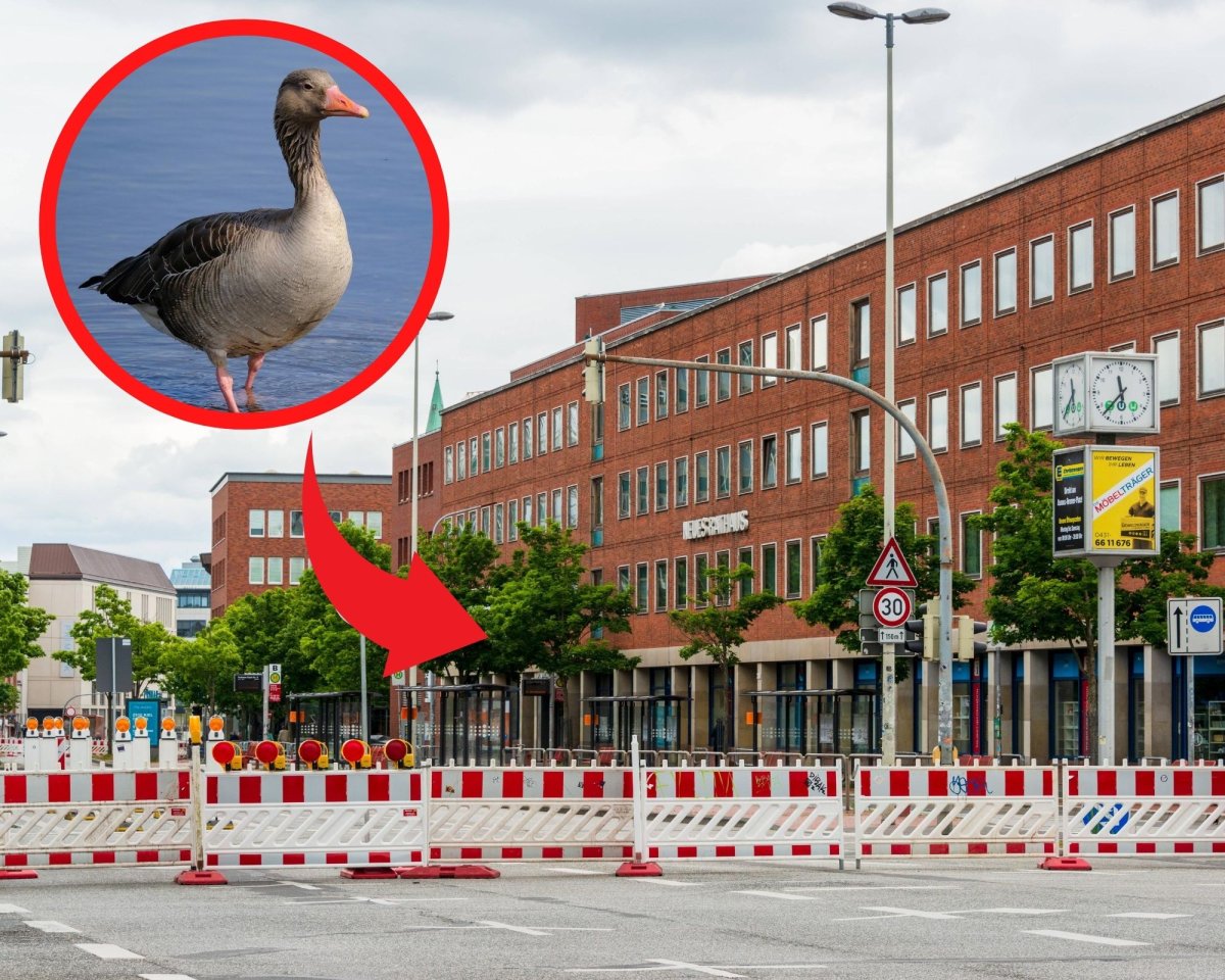 Schleswig Holstein Kiel Gans Straße Sperrung.jpg