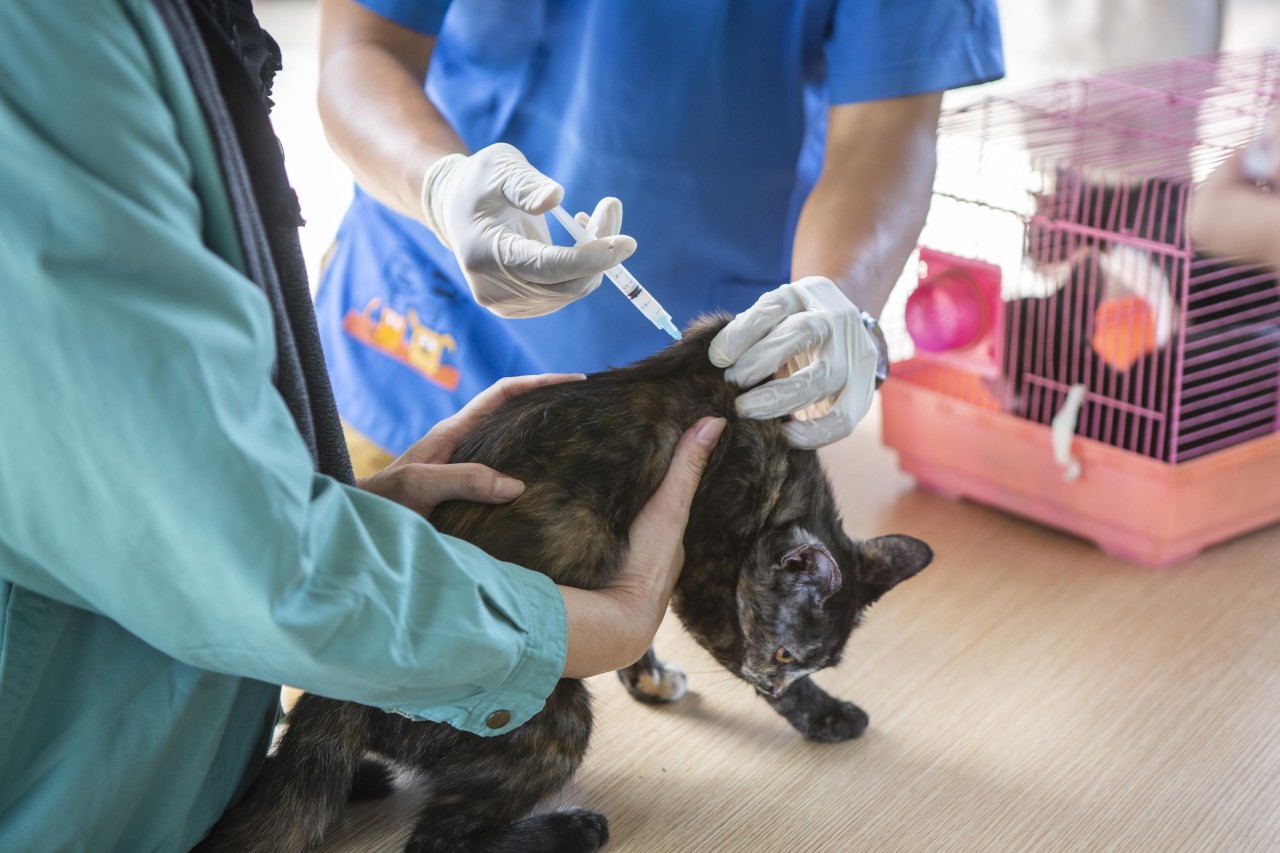 Eine Tierklinik bei Bremen hat unschöne Szenen erlebt (Symbolbild). 