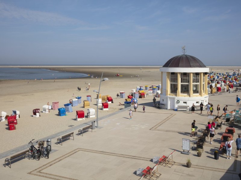Strand Borkum Nordsee Seestachelbeere Glitzerding