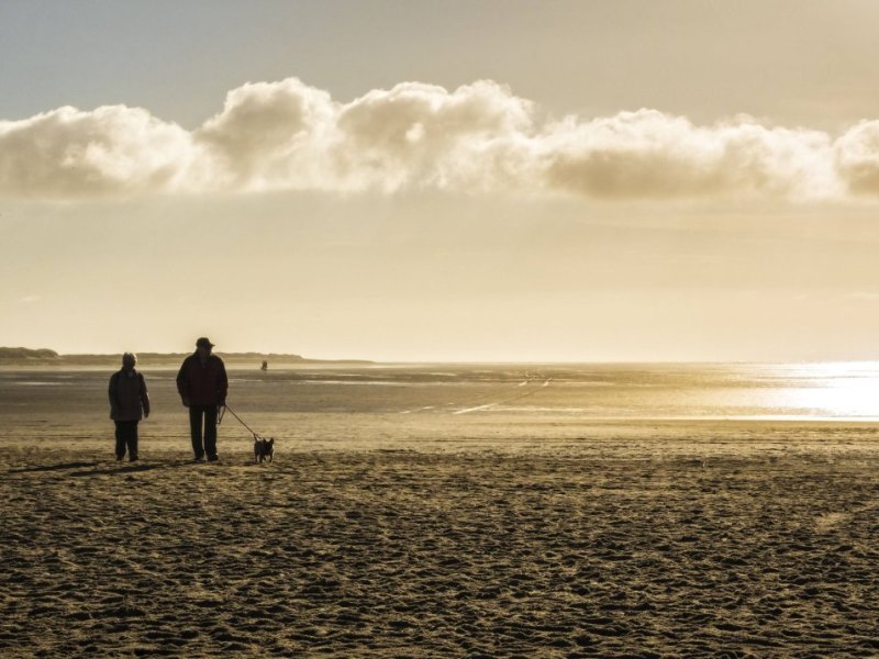 Strand SPO.jpg