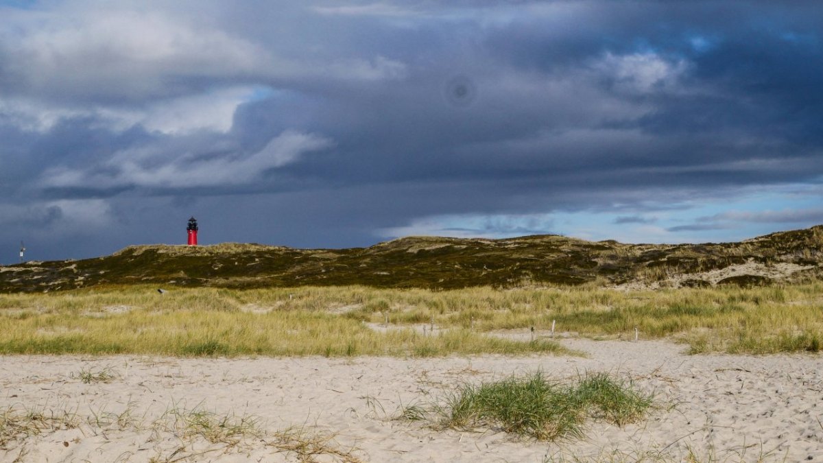 Sylt