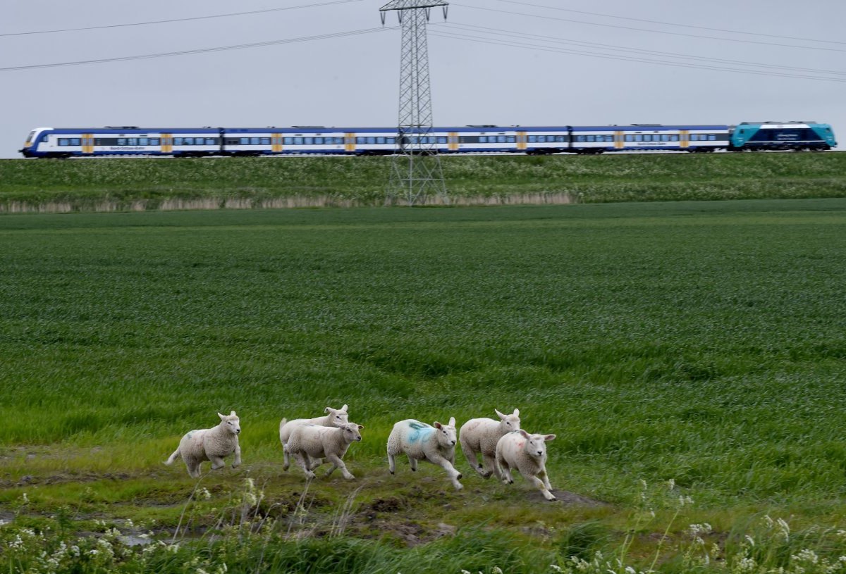 Sylt Bahn Zug.jpg