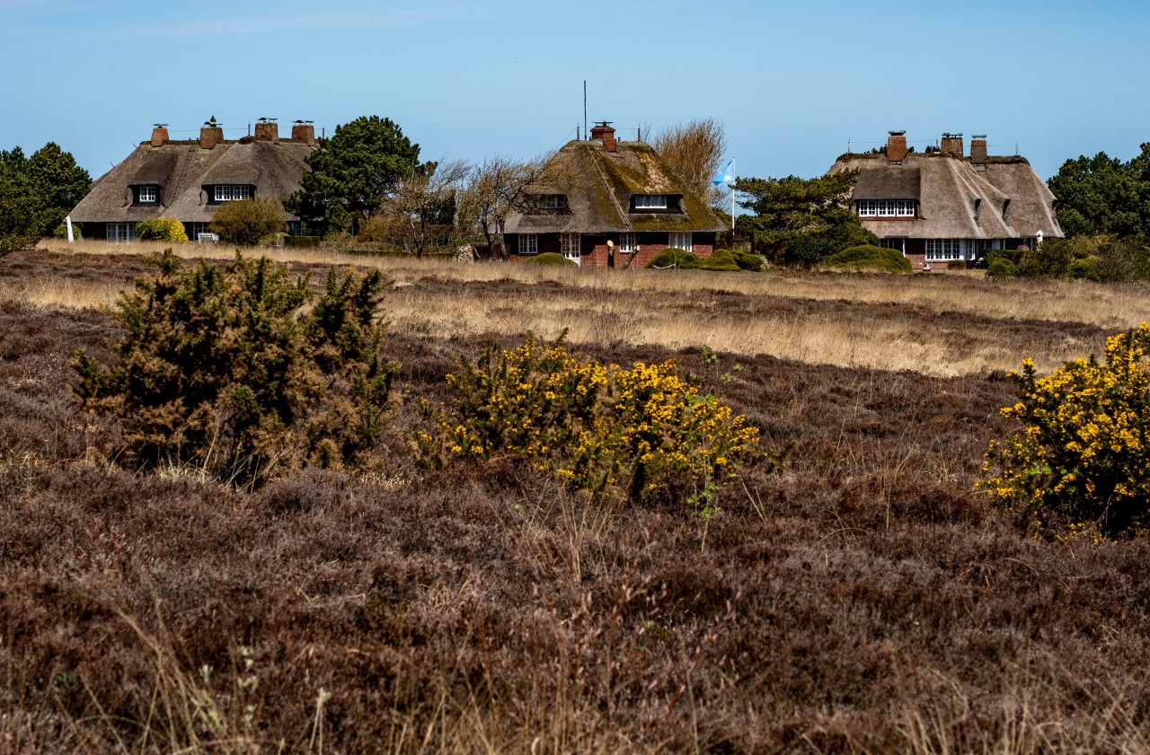 Ein Haus auf Sylt? Dafür muss man mehrere Millionen gespart haben.