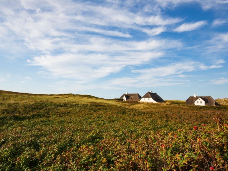 Sylt Dünenpark.jpg