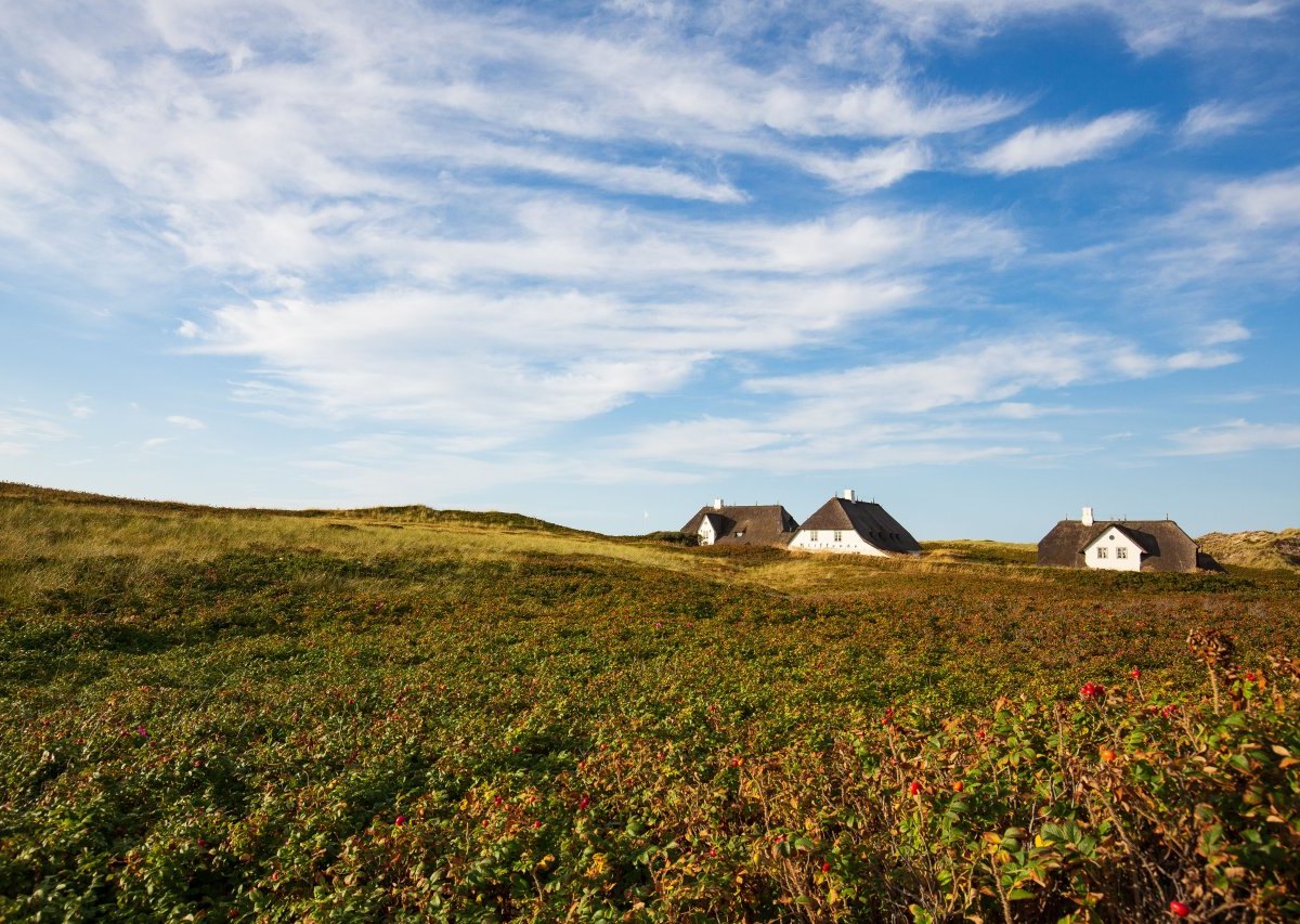 Sylt Dünenpark.jpg