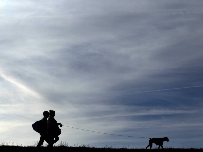 Sylt Hund Regeln.jpg