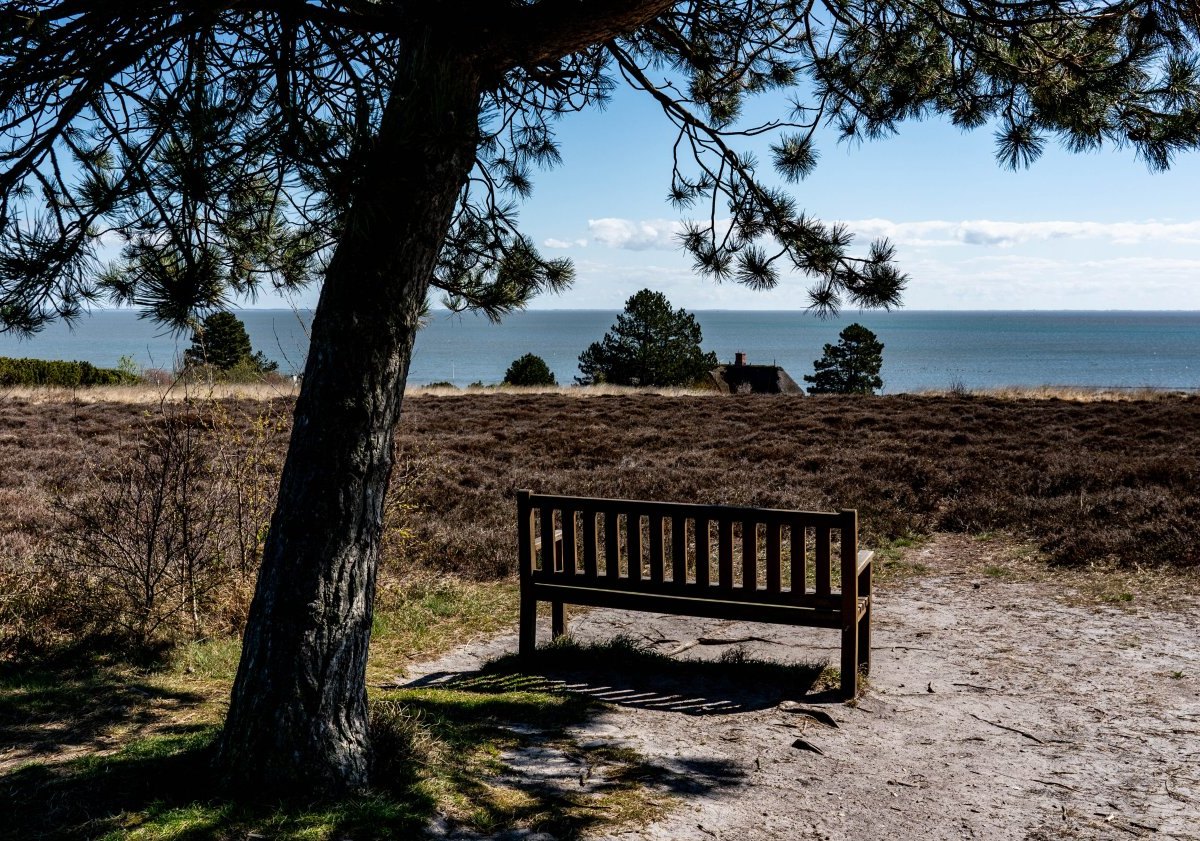 Sylt Kampen