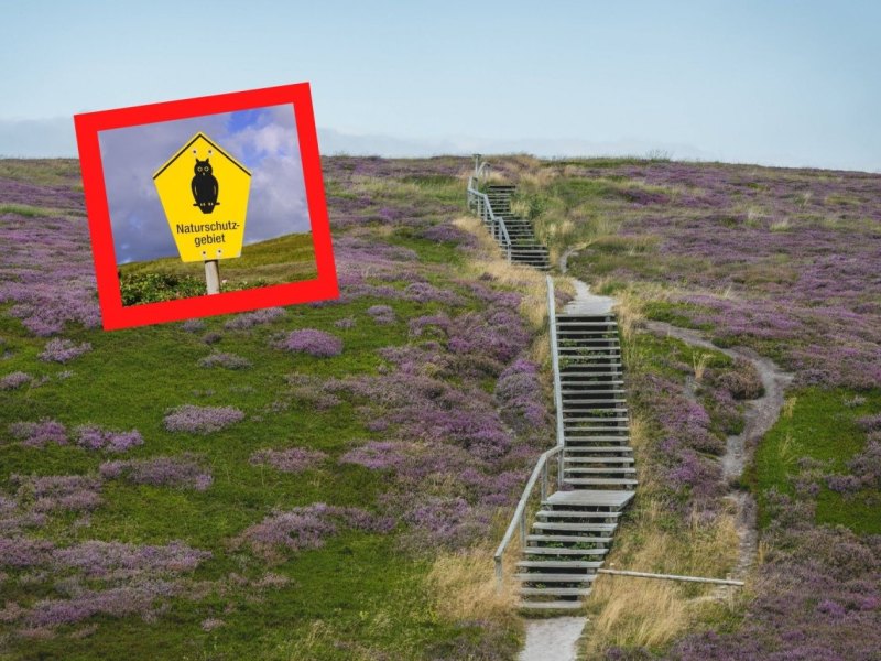 Sylt Naturschutzgebiet.jpg