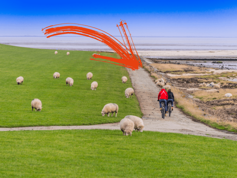 Sylt Rantumbecken Familie.png