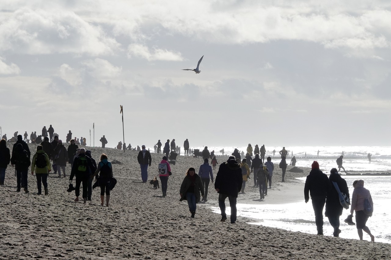 Herbst auf Sylt.