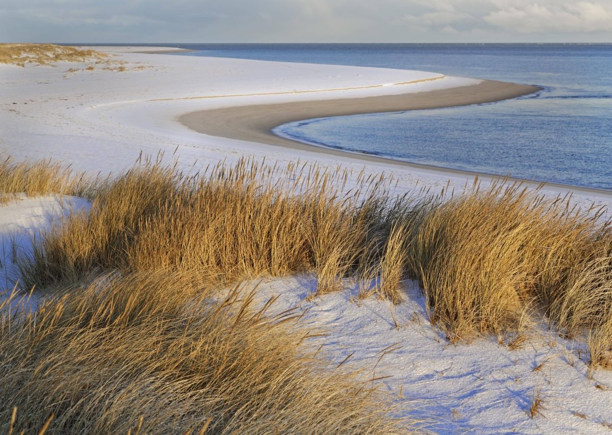 Sylt schnee.jpg