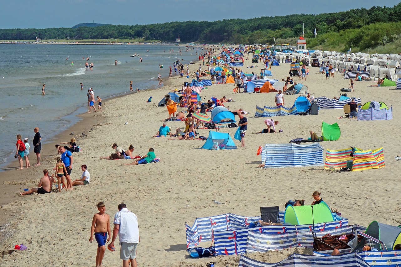 Usedom: Und wer keine Lust auf den Baumwipfelpfad hat, kann ja immer noch an den Strand gehen