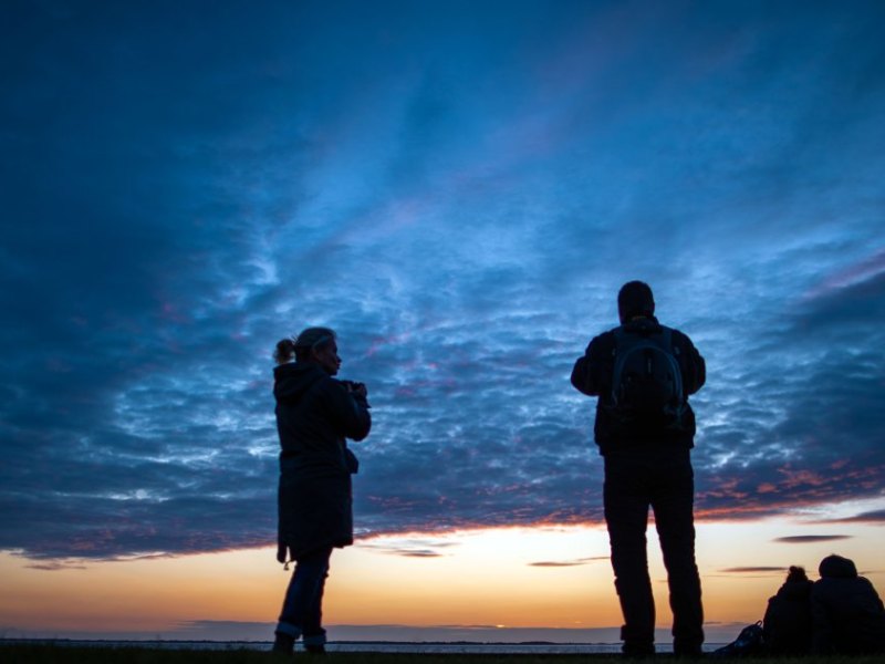 Usedom Ostsee Strand Fund Bernstein Phosphor Strand Urlaub